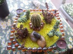 vaso, piante grasse, creazioni con pietre colorate